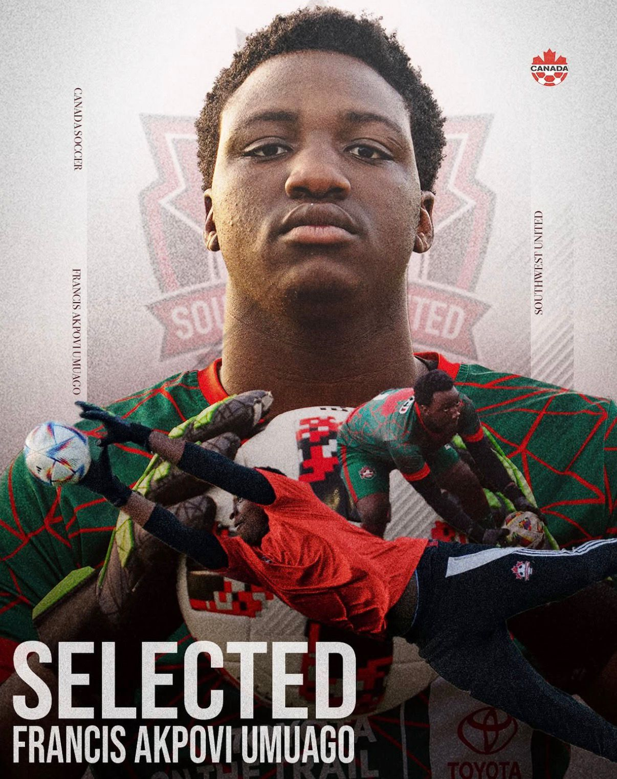 Player feature